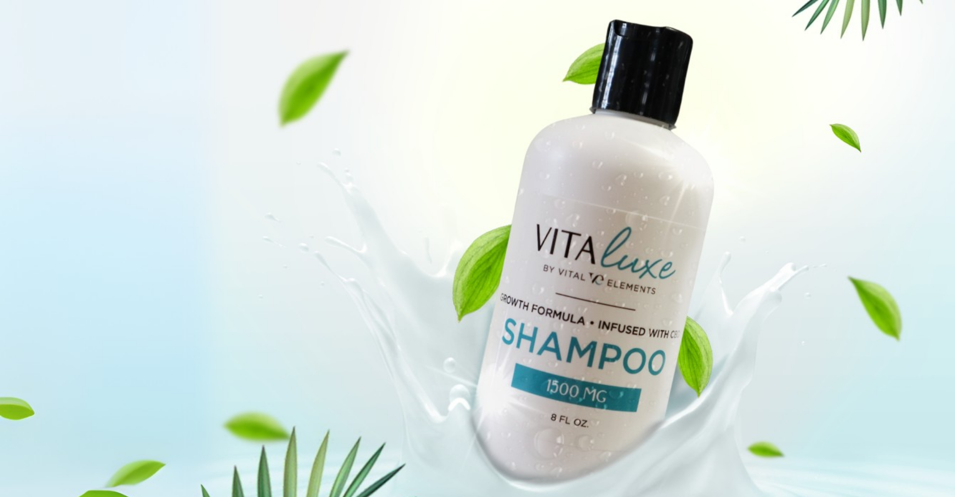 Shampoo Banner